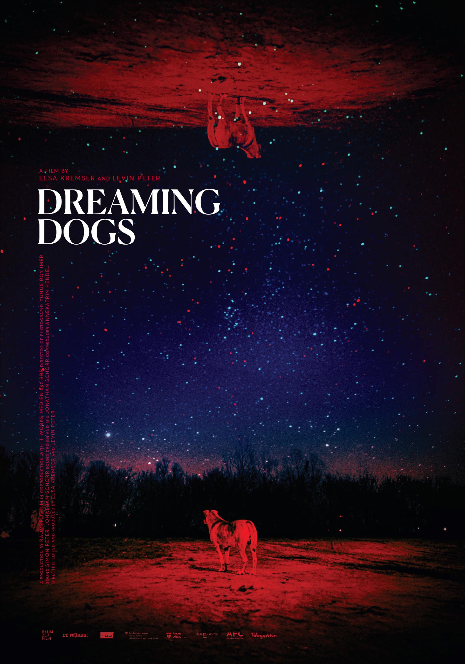 10 Dreaming Dogs Plakat FP25 low