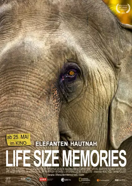 Life Size Memories filmplakat