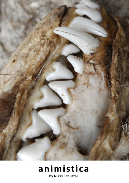 ANIMISTICA Filmplakat