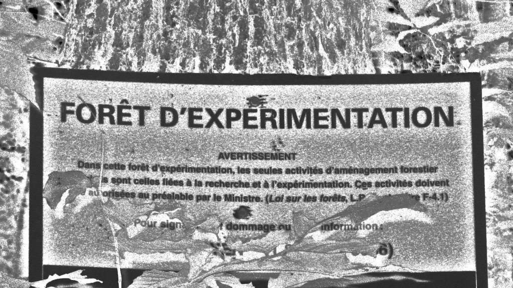 Foret dexperimentation