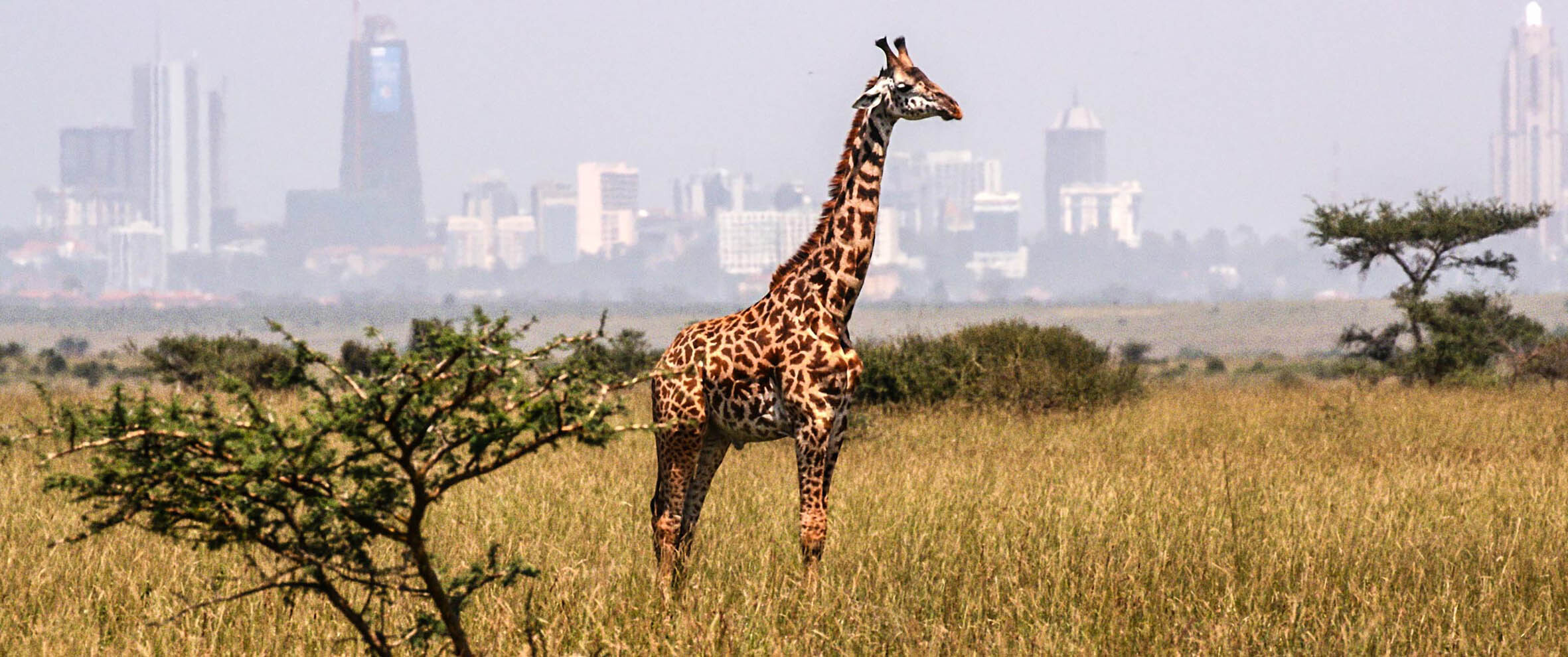 European Film Club_EVERYTHING WILL CHANGE movie still