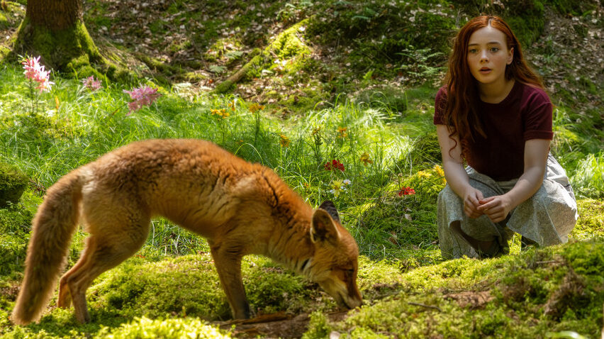 Kinostart_EIN MADCHEN NAMENS WILLOW ConstantinFilm