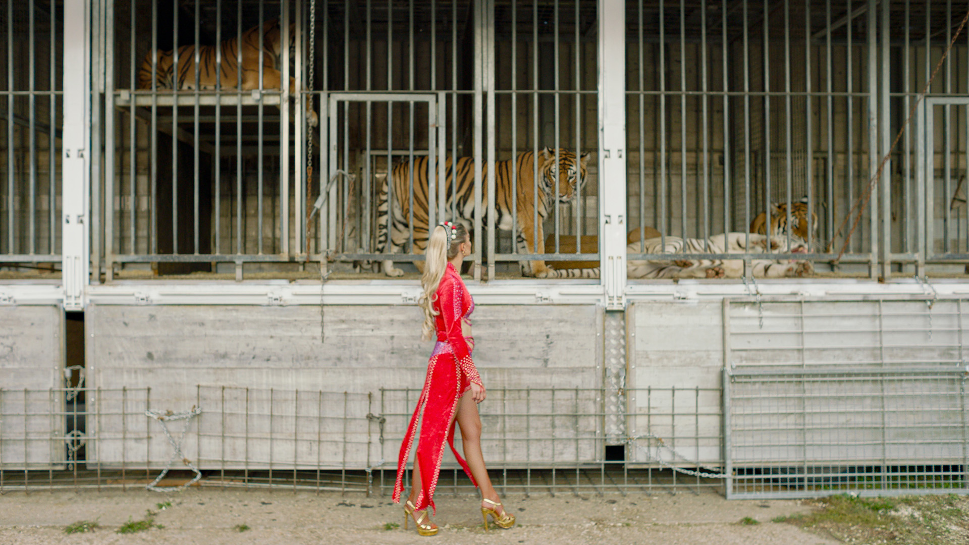 Kinostart Lastofthe Wild KGP Filmproduktion