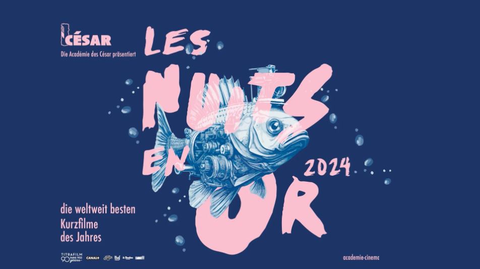 Les Nuits en Or 2024 Bild