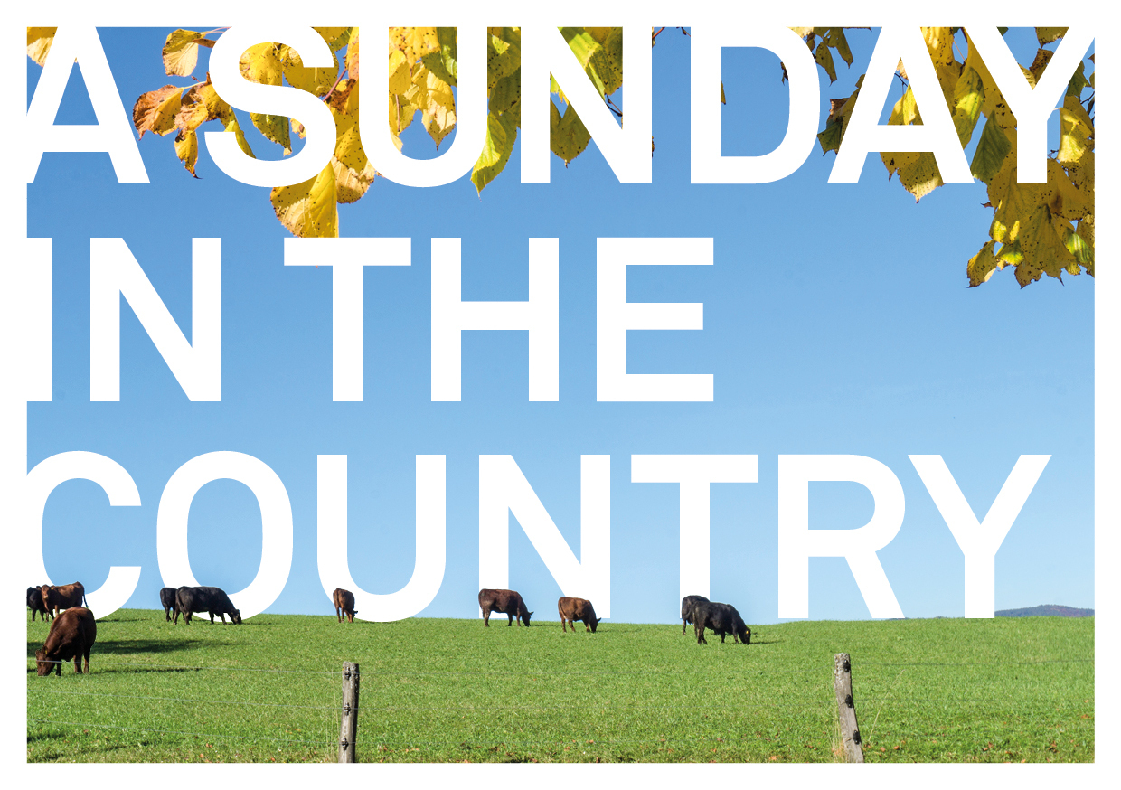 Postkarte A Sunday in the Country