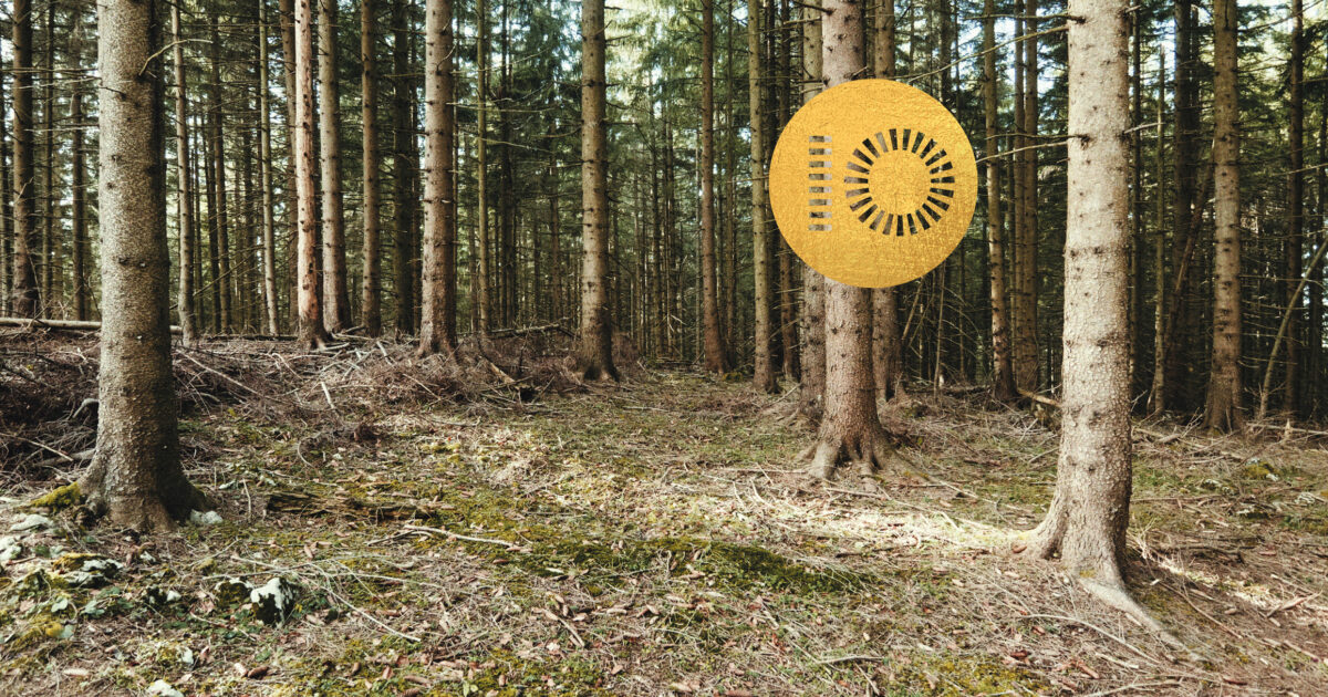 (c) Oesterreichische-filmakademie.at