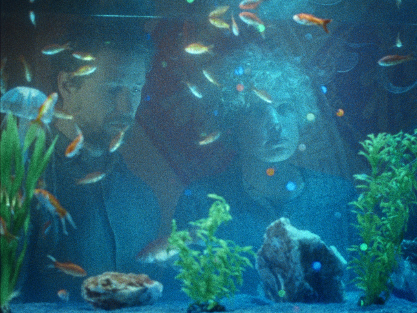 Fische02