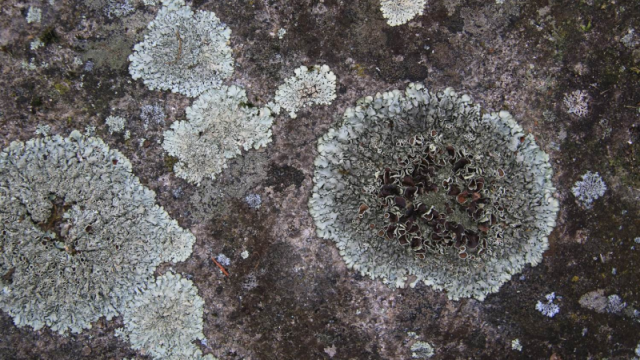 Nachhaltigkeit hero web